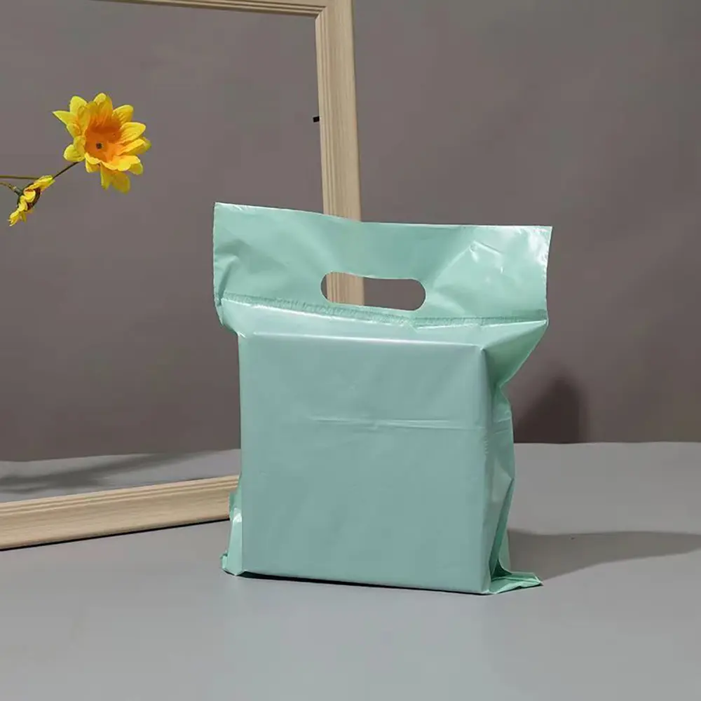 プラスチック製の密閉可能な郵便袋郵送袋生分解性包装配達パック郵便小包