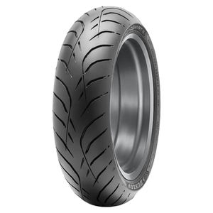 PNEUS DUNLOP 190/50 R17 (73W) ROADSMART 4 TL - Product Image 1