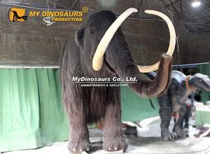 Modèle <span class=keywords><strong>d</strong></span>'animal animatronique de grande taille pour <span class=keywords><strong>d</strong></span>écoration murale MY DINO AA-208, modèle de mammouth - Product Image 4