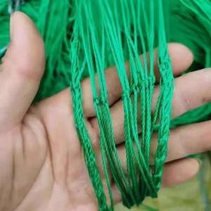 Plastic <strong>Polypropylene</strong> Trellis Support Plant Climbing <strong>Net</strong> Vegetable Support Netting Garden <strong>Net</strong> Mesh Trellis Netting <strong>Roll</strong> - Product Image 3