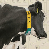 Kalung ID Sapi Plastik Ramah Lingkungan Tahan Lama GuangMu GM239 Ukuran Besar dengan Tag Nomor Terlihat, Dapat Disesuaikan, untuk Penggunaan Veteriner Ternak