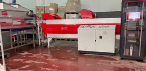 Sermac 2 líneas para aguacate en España diseño profesional línea de clasificación de frutas usadas al por mayor clasificador automático de frutas clasificador - Product Image 2