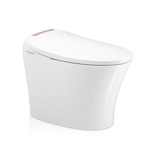 TEJJER Bidet <span class=keywords><strong>de</strong></span> <span class=keywords><strong>toilette</strong></span> en céramique une pièce à chaleur instantanée, blanc et or <span class=keywords><strong>rose</strong></span> - Product Image 1