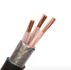 Bán Chạy Nhất ZC-YJV22 Dây Dẫn Bằng Đồng Cross-Liên Kết PVC Bọc Thép 3*300 + 1*150 Ngầm Cáp - Product Image 3