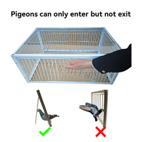 Nouvelle conception de cage à oiseaux en fil de fer pour perroquets, pigeons, nichoir en métal de haute qualité