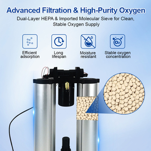 OLIVE PSA 10LPM concentratore di ossigeno casa 10 litri Oxigen generatore macchina 10l ossigene concentratore con <span class=keywords><strong>Cpap</strong></span> - Product Image 3
