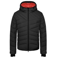 Veste de ski pour homme personnalisée en usine, veste de ski rembourrée de duvet de canard, veste de neige pour homme