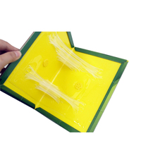 Piège à colle pour souris en carton de qualité supérieure Tableaux collants pour souris Fournisseur de panneaux de piège à colle pour rat