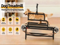 Tapis roulant pour animaux de compagnie en alliage d'aluminium léger, de qualité supérieure, à vitesse réglable, pour chiens/chats - Vente directe usine
