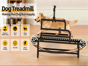 Cinta de correr para mascotas de aleación de aluminio ligera de outlet de fábrica - Rueda de ejercicio de velocidad ajustable con calidad superior para perros/gatos - Product Image 6
