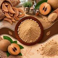 Bubuk Buah Sapodilla Alami (Chikoo) Kualitas Makanan, Kering, untuk Minuman, Kue, Makanan Penutup, Permen, Pengolahan Makanan ELIXIRA