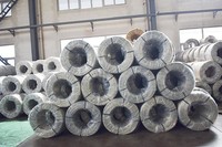 Alambre de Hierro Galvanizado Resistente a la Corrosión para Uso en Construcción y Ataduras
