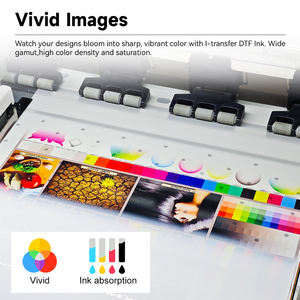 Rollos <span class=keywords><strong>de</strong></span> <span class=keywords><strong>película</strong></span> Dtf <span class=keywords><strong>de</strong></span> 30cm, 33cm y 60cm, <span class=keywords><strong>película</strong></span> <span class=keywords><strong>de</strong></span> transferencia <span class=keywords><strong>de</strong></span> calor para mascotas, venta directa <span class=keywords><strong>de</strong></span> fábrica - Product Image 4