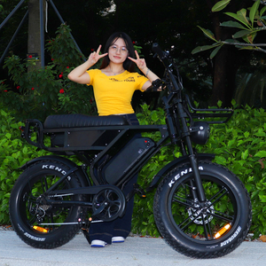 Bicicleta Eléctrica de Montaña VOMO, 20 Pulgadas, Neumáticos Anchos, Motor sin Escobillas de 250W, Doble Suspensión, Batería de Litio de 48V, X90Max - Product Image 3