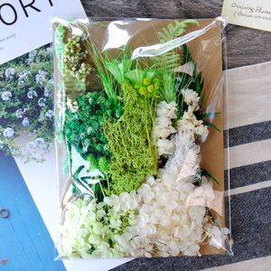 Materiale per Fiori Secchi Fai-da-Te, Eucalipto Essiccato Reale per Matrimoni, Candele Profumate, Resina, Sapone, Nail Art e Creazione di Gioielli - Product Image 6