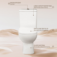 WC en céramique écologique à double chasse, de haute qualité, à décharge directe, deux pièces, fabriqué en Chine