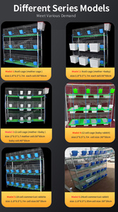 Vente flash : <span class=keywords><strong>Cage</strong></span> à lapins industrielle européenne 24 portes, prix avantageux, haute qualité - Product Image 5