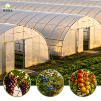 Serre tunnel agricole de haute qualité facile à installer pour la culture de fleurs, légumes et fruits