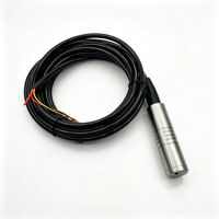 Transmetteur de niveau d'eau et de liquides submersible en acier inoxydable ULB16 à faible coût 4~20mA 0~5V