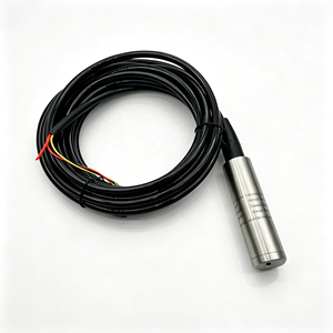 Transmetteur <span class=keywords><strong>de</strong></span> niveau d'eau et <span class=keywords><strong>de</strong></span> liquides submersible en <span class=keywords><strong>acier</strong></span> inoxydable ULB16 à faible coût 4~20mA 0~5V - Product Image 2