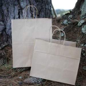 Bolsa de Papel Kraft Mini Personalizada de Alto Rendimiento con Asas de Cuerda Trenzada, Grande - Product Image 2