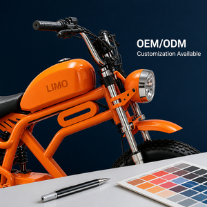 Motocicleta Retro para Adultos con Neumáticos Anchos y Doble Suspensión Trasera para una Conducción Urbana Suave, Fácil Estacionamiento, Precio Directo de Fábrica, Limo-165 Head - Product Image 4