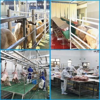 Ligne d'abattage de viande de chèvre halal, équipement d'abattoir, équipement d'abattoir, machine à dépeigner les chèvres et les moutons pour l'abattoir
