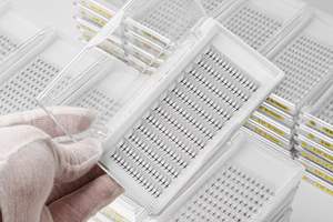 Pestañas Postizas Profesionales Pre-Enranchadas, Base Delgada, Premium 10D 0.05, Pelo Sintético de Visón, Cruelty-Free, Negro Mate, Extensiones de Pestañas Grandes - Product Image 6