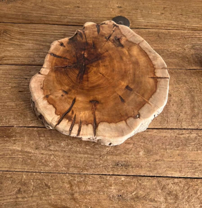 (L9.5 x W8 x H5.5) tự nhiên cạnh cây thân gỗ đứng với kẹp tóc chân để hiển thị bánh, cây, nến, trang trí - Product Image 2