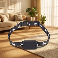 Collier GPS anti-perte pour chien en promotion, étanche IP67 en plastique, technologie NFC, localisateur d'animaux de compagnie précis en temps réel à niveau mondial