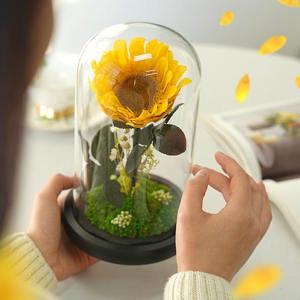 TC Unique, el Girasol Único en Cúpula de Cristal, Flor Preservada de Larga Duración para el Día de San Valentín, Regalo de Aniversario, Decoración del Hogar - Product Image 3