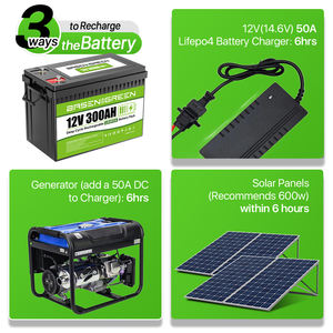 BASEN Original Factory 12V 200ah 230Ah Lifepo4 Batería de litio Lifepo4 100ah 230ah 300ah Paquete de batería para almacenamiento solar - Product Image 4