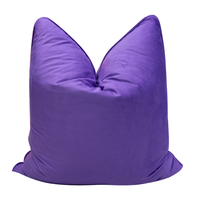 Housse de coussin en velours uni, décorative pour la maison, l'hôtel, le salon