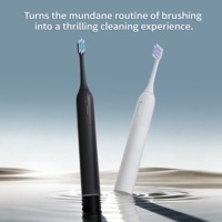 Fabricant BSCI, brosse à dents électrique douce et légère à 1 mode, logo privé, rechargeable, magnétique, brosse à dents électrique dentaire