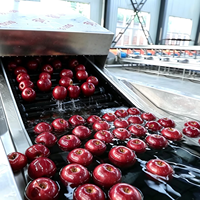 Volledig automatische fruit- en groentewas-, was-, droog- en sorteerlijn voor sinaasappels, appels, avocado's, drakenvruchten, met maat- en gewichtsselectie