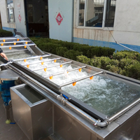 Groentewasser en -droger, voedselveilige roestvrijstalen bubbelwasmachine voor de groentelijn