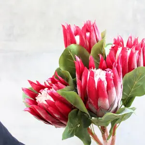 65CM venta al por mayor solo Artificial colorido rey Protea emperador monarca flores para boda decoración del hogar