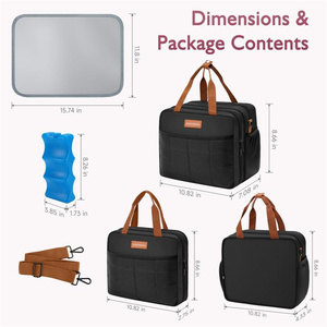 Detachable Breast Milk Cooler Travel Bag with Ice Pack Portable Breastmilk Cooler Bag Breast Pumps Carrying Case - Product Image 2