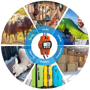 पोर्टेबल 300 किलोग्राम स्मार्ट एलसीडी डिजिटल मिनी डाक स्केल घरेलू शिकार खेत भार सामान का ओम/ओडम अनुकूलित समर्थन 100 जी - Product Image 6