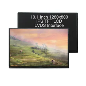 40 पिन 1280x800 एलसीडी पैनल 10.1 इंच LVDS TFT एलसीडी डिस्प्ले