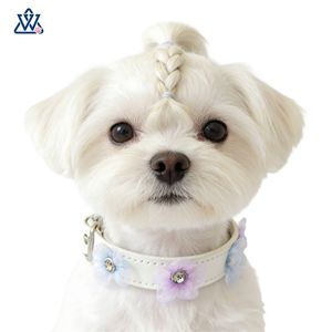 Collier pour animaux de compagnie Wangwuwu blanc réglable pour petits chiens et chats, motif floral, toutes saisons - Product Image 3