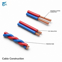Câble électrique souple en cuivre à deux conducteurs torsadés RVS pour bâtiment