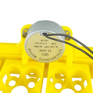Mini Draagbare Kippenei Tester Voor Kip Kwartel Eieren 16-72 Automatische Ei Incubator 220V 110V 12V