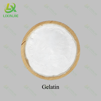 Gélatine Comestible Halal en Granulés INS428 – Stabilisateur Moussant pour Crème Glacée, Yaourt, Mousse, Gâteau, Pâtisserie – Vente en Gros Direct Usine