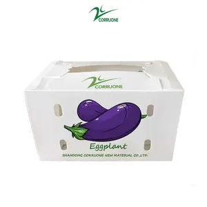 可折叠工厂供应回收折叠PP波纹Coroplast塑料水果蔬菜盒
