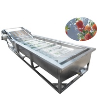 Groente Fruit Wasmachine Industriële Bubble Wasmachine Fruit