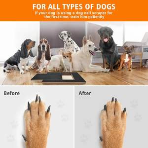 Tappetino Multifunzionale JQ per Cani, Tiragraffi e Lima per Unghie Combinati per la Cura delle Unghie di Cani e Gatti - Product Image 6