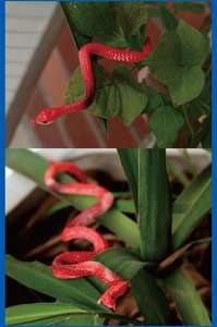 Jouets Pafu Wild <span class=keywords><strong>Life</strong></span>, jouets amusants pour Halloween, serpent en latex souple, accessoires de jardin, blague, jouet farceur, serpent en caoutchouc - Product Image 5