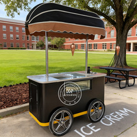 Chariot de congélation portable pour crème glacée, vitrine de congélation pour crème glacée, chariot mobile à pousser à la main pour la présentation et la vente de gelato et de crème glacée