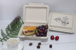 PFAS-freie 9x6 Clamshell Lunchbox aus Bagasse, kompostierbar, ölbeständig, kompostierbare Meal-Prep-Behälter für Takeaway - Product Image 6